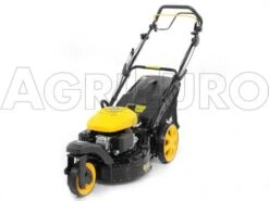 Tondeuse Thermique Tractée Mowox PM 4645 S Trike Avec Roue Avant Rotative -Outils De Jardin tondeuse thermique tracte mowox pm 4645 s trike avec roue avant rotative tondeuse gazon mowox pm 4645 s trike 10306 1 1490004375 IMG 9459