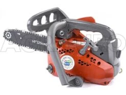 Tronçonneuse Thermique Légère D'élagage Blue Bird CS250 Avec Guide De 25 Cm