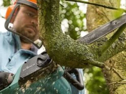 Tronçonneuse électrique BOSCH Universal Chain 40 1800 W -Outils De Jardin trononneuse lectrique bosch universal chain 40 1800 w trononneuse lectrique bosch universal chain 40 24966 0 1598520315 IMG 5f477bfbc813c